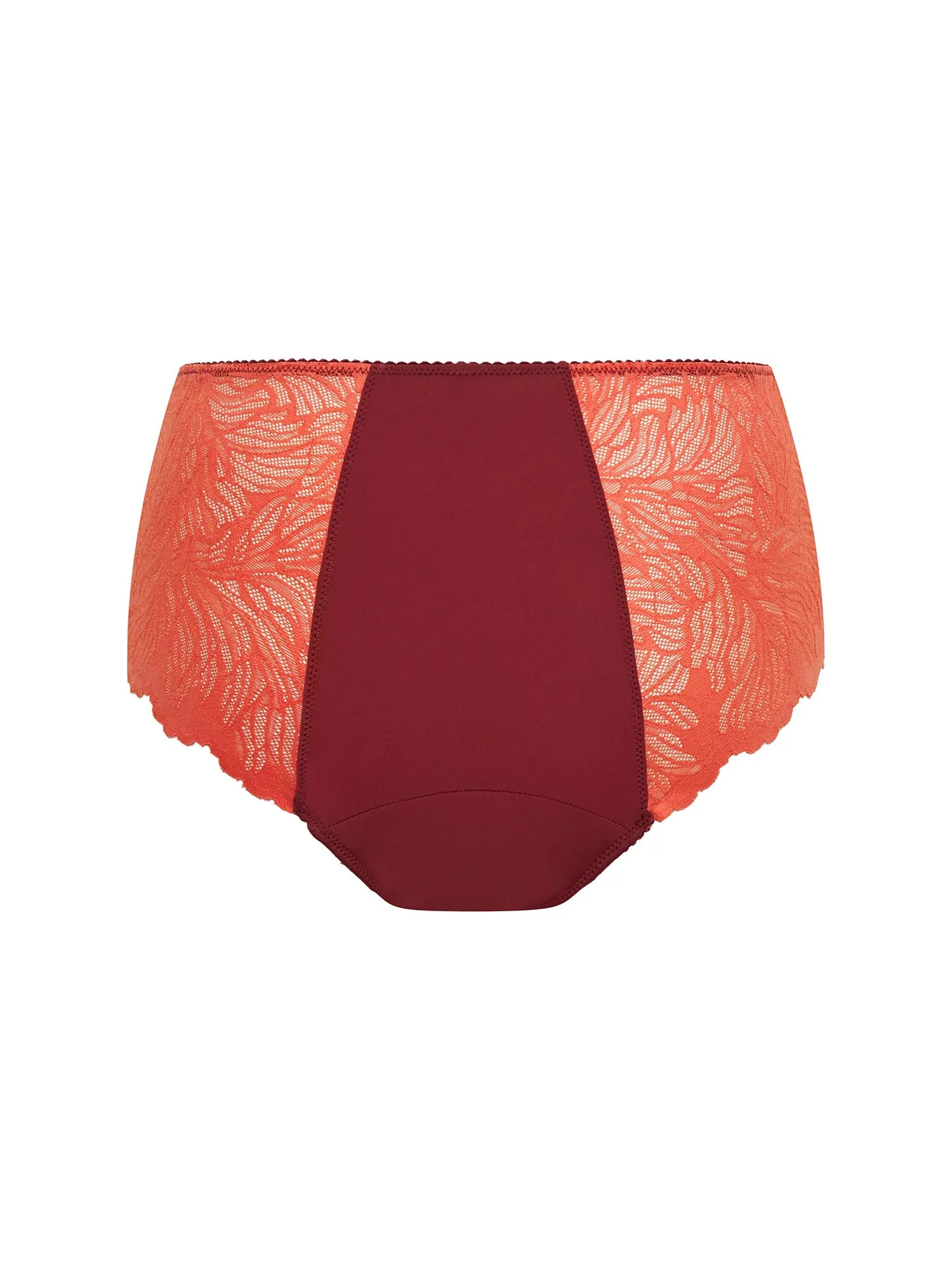 Manon Hi Waist Brief Moderate Bordeaux Red - Image 4